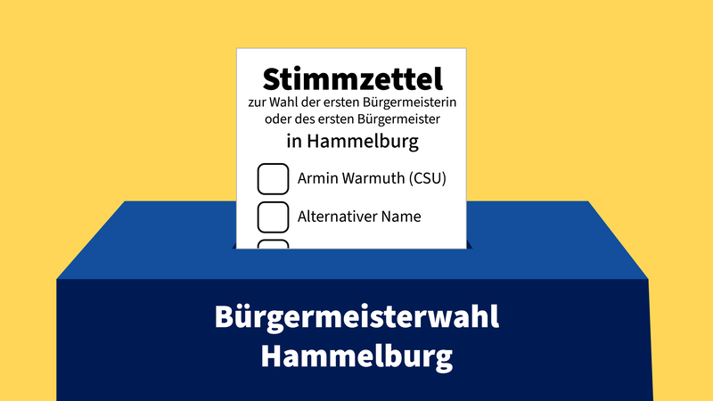 Bei der Wahl des B&uuml;rgermeisters wurden in Hammelburg 223 alternative Namen aufgelistet.