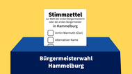 Bei der Wahl des B&uuml;rgermeisters wurden in Hammelburg 223 alternative Namen aufgelistet.