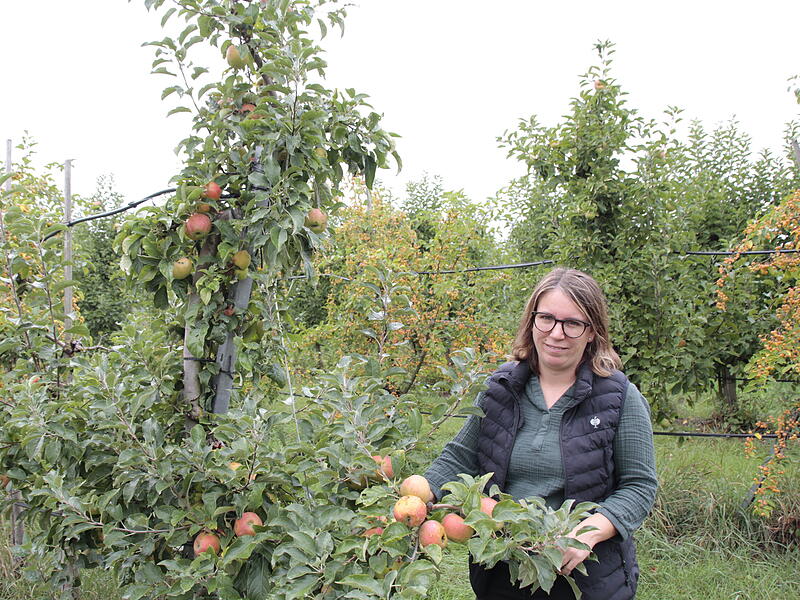Weiki-Hof Obstwiese Franziska Endres steht in einem ihrer großen Obstfelder auf dem Weiki-Hof.