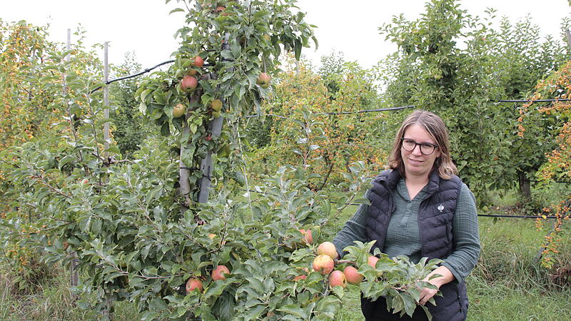 Weiki-Hof Obstwiese Franziska Endres steht in einem ihrer großen Obstfelder auf dem Weiki-Hof.