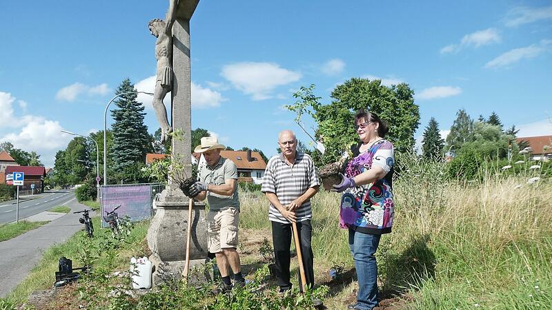 Mitglieder des Obst- und Gartenbauvereins Ebern pflanzen Wildrosen am Steinkreuz in Klein-N&uuml;rnberg.