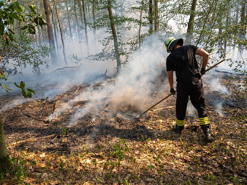 Feuer Bamberg Durch den starken Wind breitete sich das Feuer bei Strullendorf auch in Teilen des Waldgebietes aus. Die Feuerwehr konnte den Brand aber unter Kontrolle bringen.