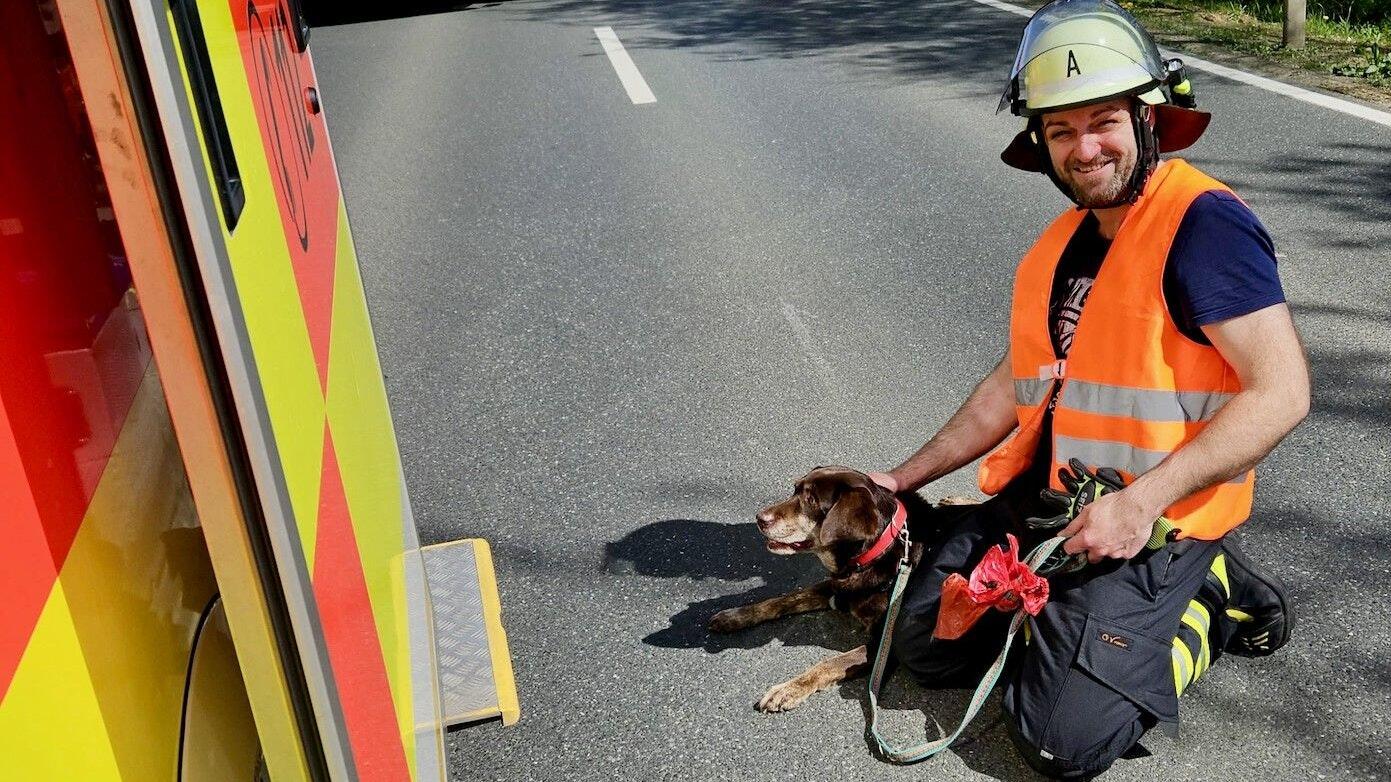 Unfall Mit Hund