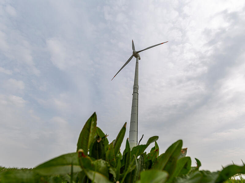 Windrad KasbergForchheim & Fränkische Schweiz Das Windrad in Kasberg bei Gräfenberg ist bislang das einzige im gesamten Landkreis Forchheim. Nun hat ein Windparkprojekt bei Ebermannstadt die nächste große Hürde genommen, damit das bald nicht mehr der Fall ist.