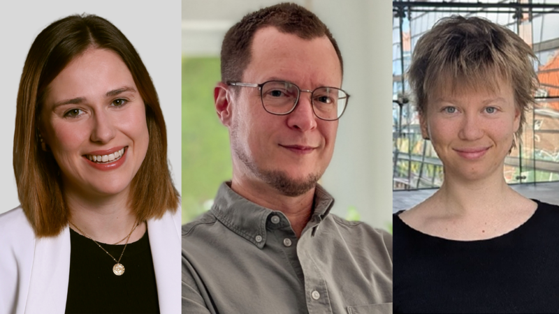 Neue Kommunalpolitiker im Coburger Stadtrat und Kreistag