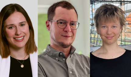 Neue Kommunalpolitiker im Coburger Stadtrat und Kreistag