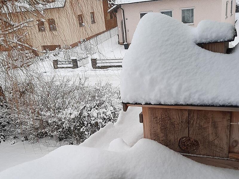 Schnee in Kulmbach: Die sch&ouml;nsten Leserfotos