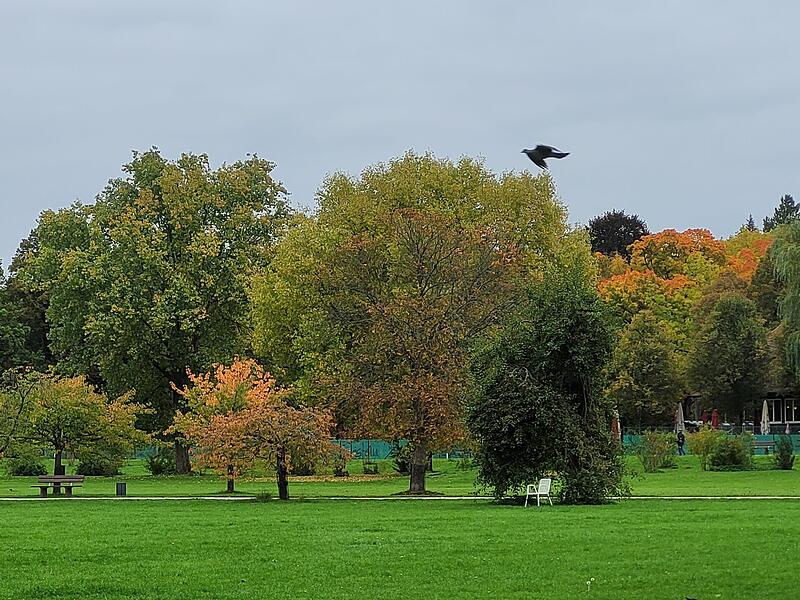 Luitpold-Park im Oktober mit „Überflieger“