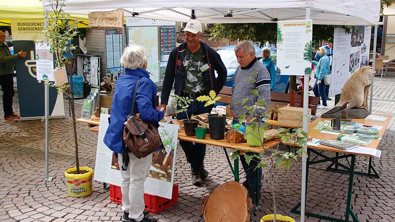 Klimatag in Hammelburg am 14.09.2024Klimatag in Hammelburg