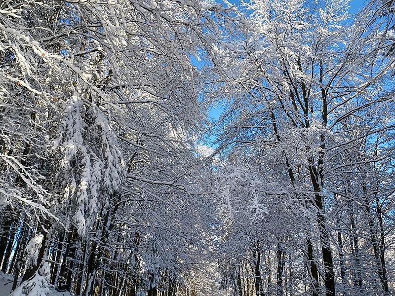 Leserbilder 2025Leserfotos Dezember 2025