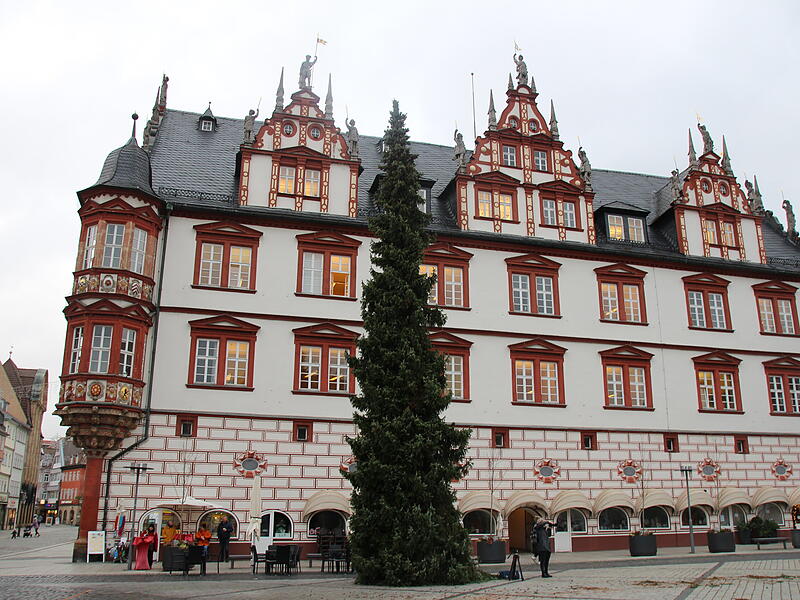 Der Coburger Weihnachtsbaum 2023 ist da