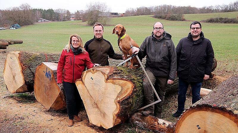 Die „Braut“ in die Zange, respektive Kluppe genommen. Diese Eiche von der Waldkörperschaft Fischbach erlöste 9720 Euro. Das Foto zeigt (von links): Birgitt Ulrich, Marcel Waffler mit seinem Hund „Arko“, einem kurzhaarigen ungarischen Vorstehhund, ... Die „Braut“ in die Zange, respektive Kluppe genommen. Diese Eiche von der Waldkörperschaft Fischbach erlöste 9720 Euro. Das Foto zeigt (von links): Birgitt Ulrich, Marcel Waffler mit seinem Hund „Arko“, einem kurzhaarigen ungarischen Vorstehhund, ...