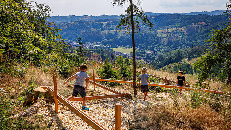 Wald-Aktiv-Pfad Leitschtal