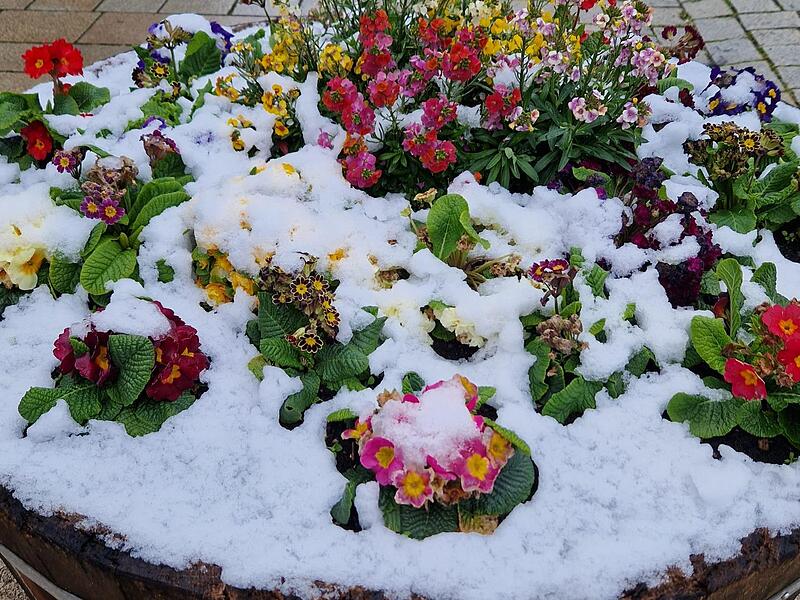 Im Hochsommer an Schnee denken? Im Herbst jedenfalls kann es ganz schnell gehen.Forchheim & Fränkische Schweiz Im Hochsommer an Schnee denken? Im Herbst jedenfalls kann es ganz schnell gehen.Forchheim & Fränkische Schweiz