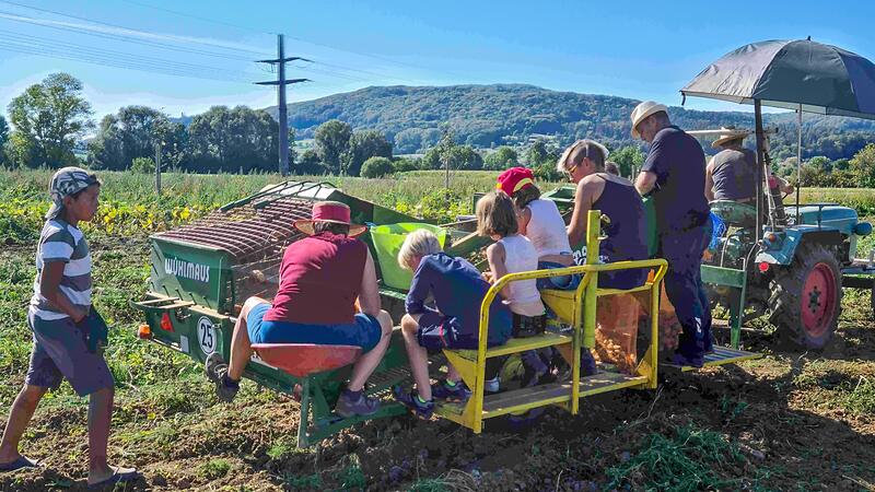 Solidarische Landwirtschaft lebt von partnerschaftlichem Miteinander, wie hier in Ebermannstadt. Solidarische Landwirtschaft lebt von partnerschaftlichem Miteinander, wie hier in Ebermannstadt.