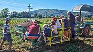 Solidarische Landwirtschaft lebt von partnerschaftlichem Miteinander, wie hier in Ebermannstadt. Solidarische Landwirtschaft lebt von partnerschaftlichem Miteinander, wie hier in Ebermannstadt.