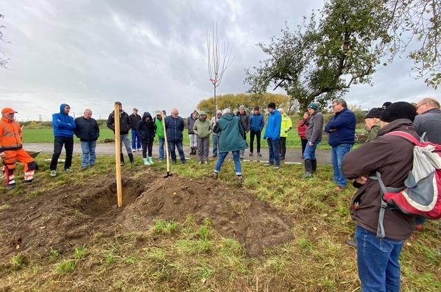 Mitglieder des Vereins f&uuml;r Gartenkultur und Ortsversch&ouml;nerung haben den teils &uuml;beralterten und maroden Baumbestand entlang der historisch bedeutsamen f&uuml;rstbisch&ouml;flich-bambergischen Chaussee bei Unterleiterbach durch neue Obstb&auml;ume erg&auml;nzt.