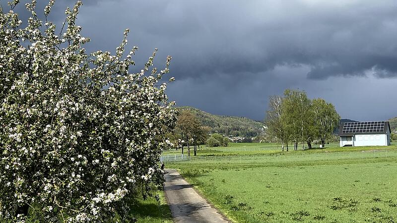 Ein drastischer Kaltlufteinbruch könnte nach dem Frühsommerwetter noch blühende Obstbäume durch Spätfrost gefährden.Forchheim & Fränkische Schweiz