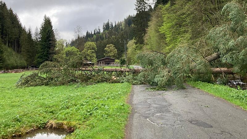Sturm in Kronach Stromausfall in Steinwiesen Sturm in Kronach Stromausfall in Steinwiesen