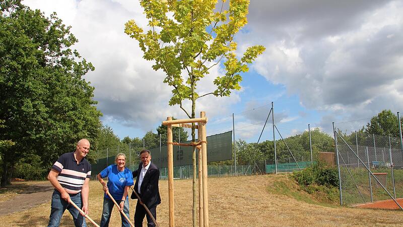 Ein Goldahorn wurde beim TC H&ouml;chstadt frisch gepflanzt. Die Vorsitzende Petra Harder schaufelt zusammen mit ihren &bdquo;Goldjungs&ldquo; Gerald Brehm (links) und Alexander Tritthart die oberste Erdschicht auf den Wurzelballen. Der Baum inmitten des Vereinsge...