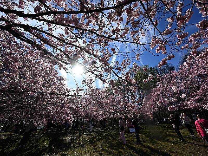 Ostern im Olympiapark
