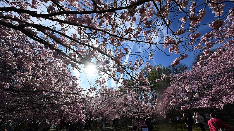 Ostern im Olympiapark