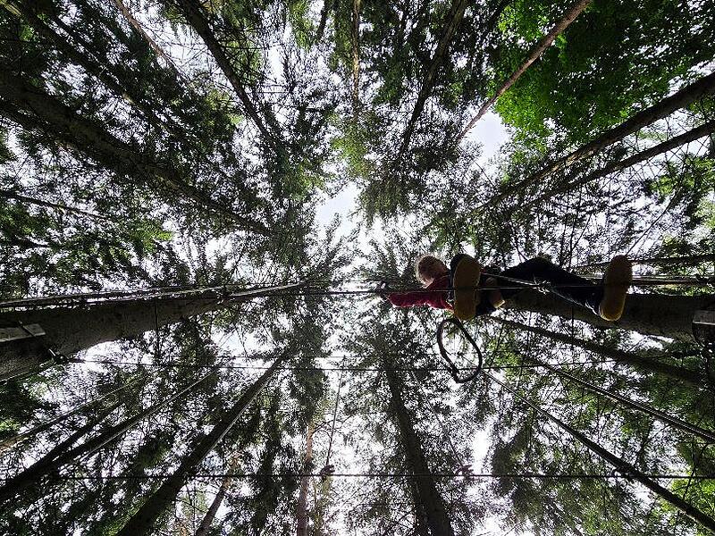 Die Waldbewirtschaftung wird auch in den kommenden Jahren ein Drahtseilakt bleiben: In diesem Jahr allerdings kann sich die Gemeinde Untermerzbach &uuml;ber ein Plus von mindestens 31.400 Euro aus dem Gemeindewald freuen.