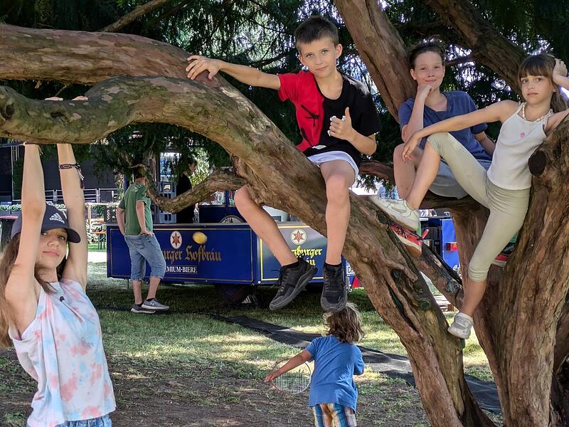 W&auml;hrend die j&uuml;ngeren Geschwister bastelten, eroberten die &auml;lteren Kids den Kletterbaum.