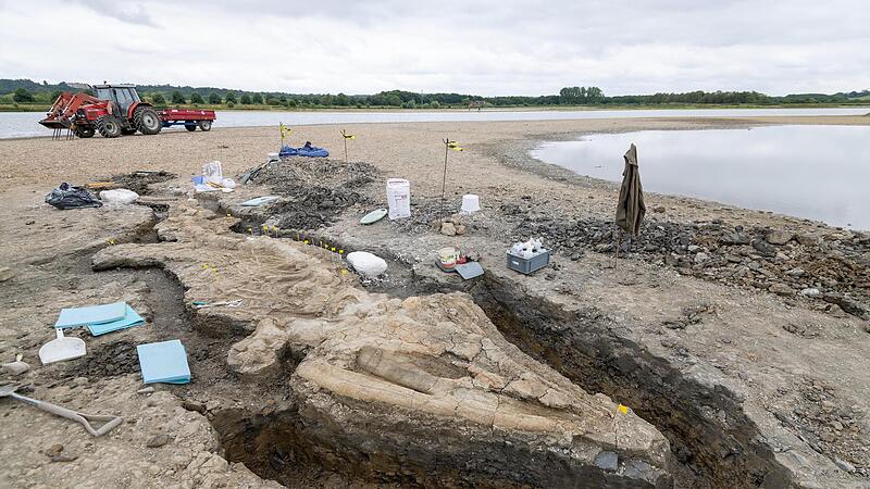 Britische Forscher haben im Rutland Nature Reserve ein Ichthyosaurier-Skelett entdeckt. Zehn Meter ist es lang und allein der Sch&auml;del wiegt eine Tonne.