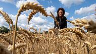 Ernte-Pressefahrt der bayerischen Landwirtschaftsministerin