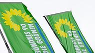 Die Grünen