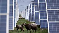 Solarfarm in China