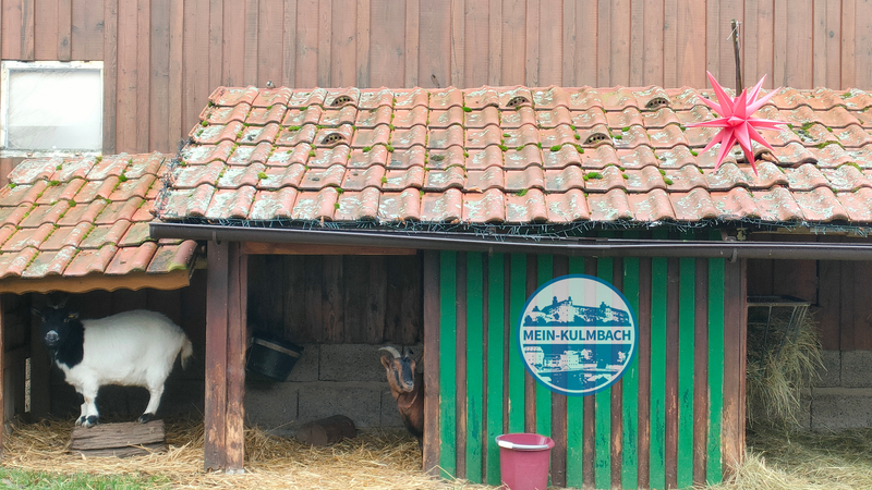 Zwei Ziegen im Stall dar&uuml;ber ein roter Stern