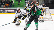 Vier Tore und zwei Assists erzielte Tim Zimmermann in der abgelaufenen Saison für die Alligators, die den Vertrag ihm ihrem Stürmer verlängerten.