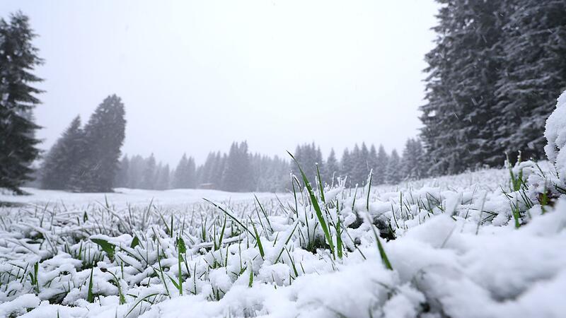 Schneefall in den höheren Lagen Bayerns Schneefall in den höheren Lagen Bayerns
