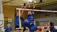 Volleyball aus Hammelburg