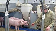 Landwirt Ludwig Weis in einer der Ferkelboxen. In seinen Ställen haben die Schweine Platz.