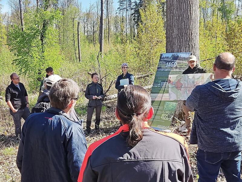 Beim Praxistag im Forchheimer Stadtwald wurde deutlich, was jetzt geschehen muss, um Wälder nachhaltig umzubauen. Beim Praxistag im Forchheimer Stadtwald wurde deutlich, was jetzt geschehen muss, um Wälder nachhaltig umzubauen.