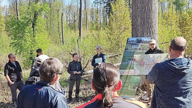 Beim Praxistag im Forchheimer Stadtwald wurde deutlich, was jetzt geschehen muss, um Wälder nachhaltig umzubauen. Beim Praxistag im Forchheimer Stadtwald wurde deutlich, was jetzt geschehen muss, um Wälder nachhaltig umzubauen.