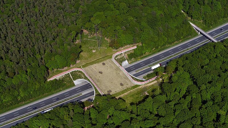 Wie hier &uuml;ber diese Gr&uuml;nbr&uuml;cke &uuml;ber die A 7 bei Oberthulba werden bald auch &uuml;ber die A 3 Wildtiere ihre Wege finden.