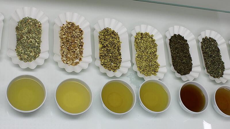 50 Shades of Green – gesehen im Sensoriklabor von  “Kräuter Mix“ in Abtswind.&nbsp;