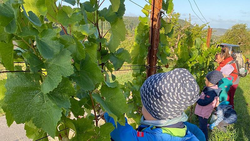 Flei&szlig;ig wird gepfl&uuml;ckt.