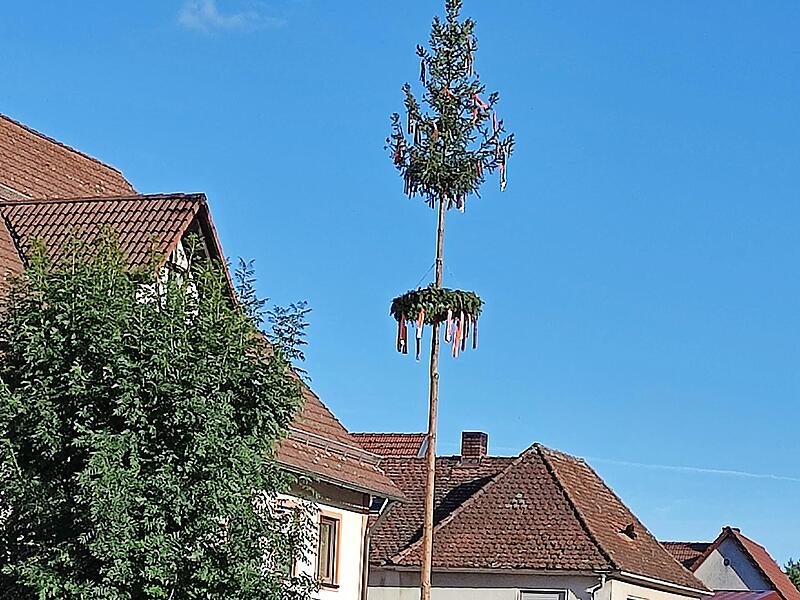 Der Kirchweihbaum wurde in Oberleinleiter aufgerichtet.