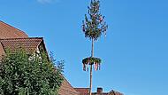 Der Kirchweihbaum wurde in Oberleinleiter aufgerichtet.