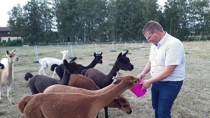 Holger Grie&szlig;hammer inmitten seiner Alpaka-Herde