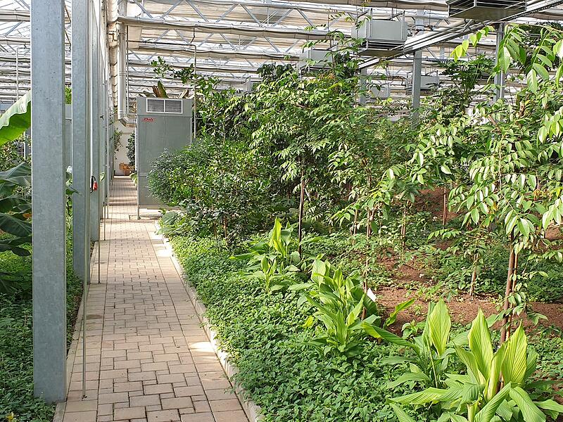 Das Tropenhaus in Kleintettau wird von der Carl-Augst-Heinz-Stiftung finanziell unterst&uuml;tzt.