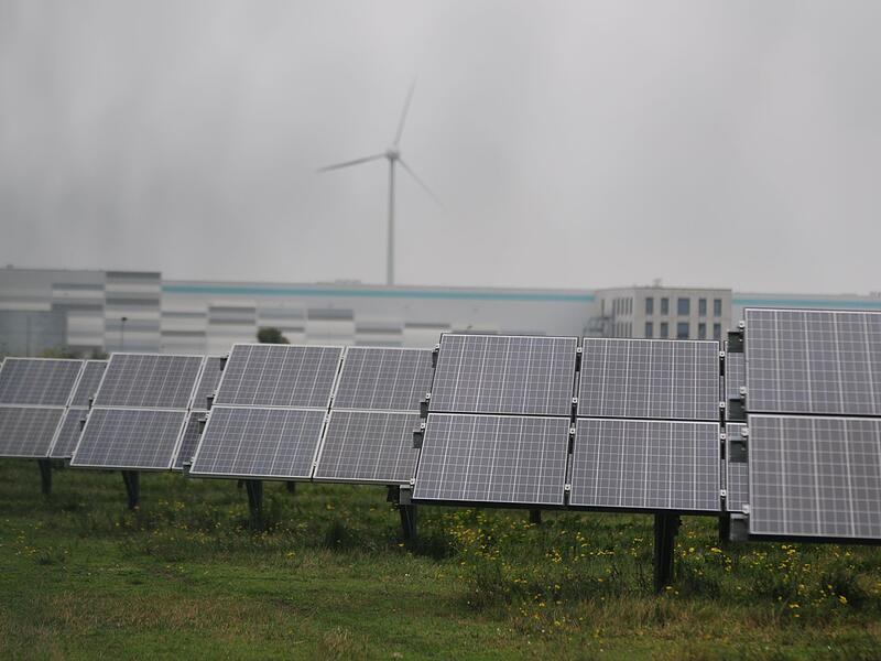 Solarmodule in Bitterfeld-Wolfen
