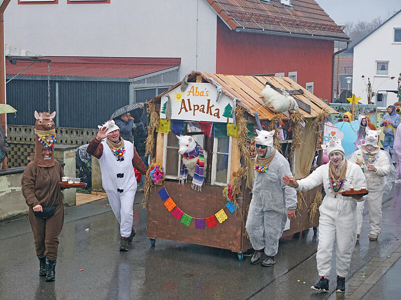 Familien Zeller, H&uuml;mmer, Langholz: Alpakas