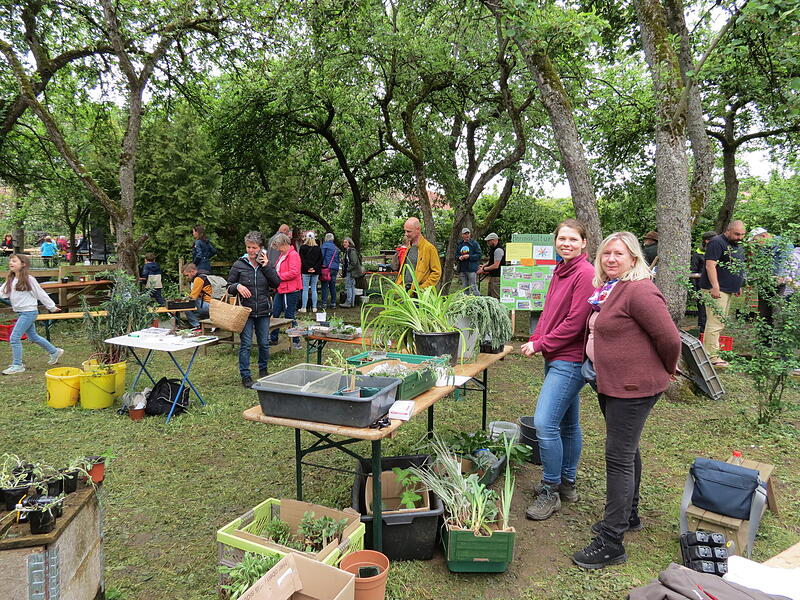 Pflanzentauschb&ouml;rse in Euerdorf