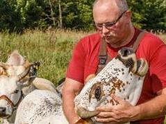 Norbert B&ouml;hmer aus PlankenfelsForchheim & Fr&auml;nkische Schweiz